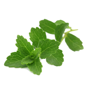 หญ้าหวาน rebaudiana สารให้ความหวาน precio Internacional de la stevia - Product Image 6
