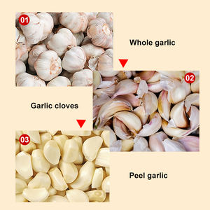 Ligne de production de pelage <span class=keywords><strong>d</strong></span>'<span class=keywords><strong>ail</strong></span> avec collecte des <span class=keywords><strong>d</strong></span>échets de pelage, machines de transformation de l'<span class=keywords><strong>ail</strong></span> pour l'industrie - Product Image 6