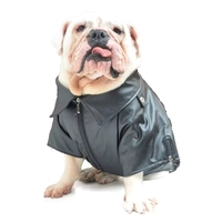 kms45 Vêtements pour animaux de compagnie de la meilleure qualité, manteau de luxe pour chien, vente en gros pour l'hiver