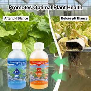Hydroponische <span class=keywords><strong>pH</strong></span>-up & Down Kit 250 ml <span class=keywords><strong>PH</strong></span>-balansoplossing Aanpassing voor sla-pepergroentenplanten - Product Image 2