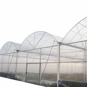 Grande construction matérielle de dôme de serre de fraise de PE de couche unique pour l'agriculture de serre de l'Afrique - Product Image 2