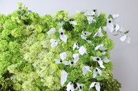Mur de fleurs artificielles personnalisé pour événements commerciaux, toile de fond florale 8ft x 8ft, Hortensia Globe Vert, Décoration de mariage