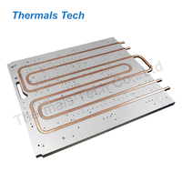 Plaque froide liquide de conception personnalisée pour batterie d'alimentation 3000W de véhicule électrique