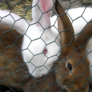 Rouleau de grillage hexagonal en PVC de haute qualité pour volailles, grillage en fil de fer pour poulets - Product Image 3