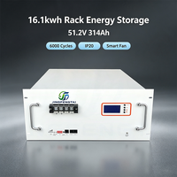 Batterie LiFePO4 montée en rack, optimisée pour l'espace, 51,2 V 314 Ah 16,1 kWh, LCD, CAN/RS485, extension parallèle, 6000 cycles pour l'énergie solaire