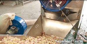 220 V Handels Knoblauch-Ganzbel-Zerkleinerer Maschine Glühbirne-Schälmaschine gewerbe Knoblauch- und Ingwer-Schällmaschine Preis - Product Image 2