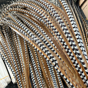 Plumes de queue de faisan naturelles Reeves Venery, 140 cm de long, pour usage décoratif, mariages, artisanat, costumes, fêtes, carnaval, haute qualité - Product Image 1