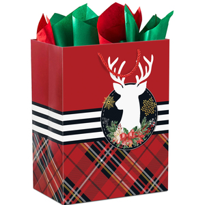 Bán Buôn Sang Trọng Thân Thiện Với Môi Các Tông Màu Trắng Lớn Túi Giấy Bông Xử Lý Sẵn Sàng Để Shipp Cho Mua Sắm Bán Lẻ Gói Quà Tặng - Product Image 4