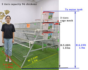 Offre Spéciale 96 / 160 oiseaux 3/4 couches équipement agricole un type <span class=keywords><strong>cages</strong></span> de batterie pour couches cage - Product Image 2