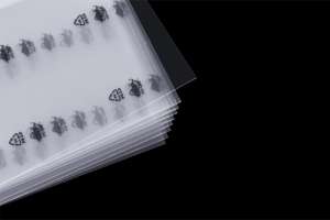 Prezzo all'ingrosso 800 mmx600mm plexvetro foglio di plastica ps pannello trasparente - Product Image 2