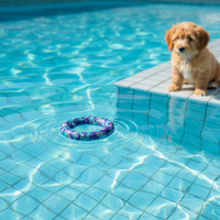 Jouet à mâcher multifonctionnel et écologique pour chien avec anneau de traction, idéal pour l'entraînement des animaux de compagnie - Prix de gros