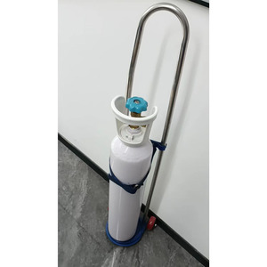 Carrito para Cilindros de Oxígeno WQ de 10L, con Marco de Acero, 2 Ruedas, Carro Móvil para Uso Médico - Product Image 3