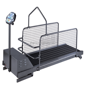 5HP 전기 강아지 트레드밀 스틸 애완견 러닝머신 판매 방수 스틸 강아지 어질리티 훈련 장비 - Product Image 1