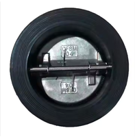 Clapet anti-retour à double plaque de type Wafer en fonte ductile haute performance, classe ANSI 150, DIN BS PN16, avec corps recouvert d'EPDM