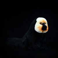Peluche personnalisée singe Saki à face blanche, jouet en peluche animal sauvage, poupée mignonne pour parc à thème forêt tropicale, magasin, OEM ODM