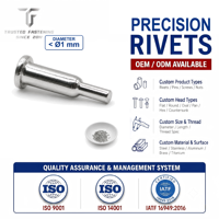 Tianfang China Factory OEM/ODM Custom Cold-Headed Round-Head Stepped Solid Precision Rivets for Apparel and Electronics
