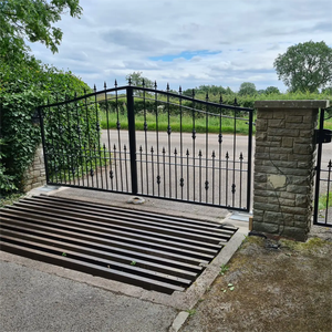 Porte principale en <span class=keywords><strong>fer</strong></span> <span class=keywords><strong>forgé</strong></span>, design de portail extérieur en métal, portail de garage, porte principale en métal, entrée extérieure, porte en <span class=keywords><strong>fer</strong></span> <span class=keywords><strong>forgé</strong></span> pour la maison - Product Image 1