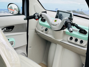 Tricycle électrique ELION YU3 certifié EEC 60V à 3 roues pour adultes, usage passagers, avec carrosserie fermée et grande capacité de charge - Product Image 2