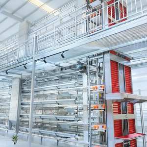 Ensemble complet de cages <span class=keywords><strong>à</strong></span> poulets prêtes <span class=keywords><strong>à</strong></span> l'exportation pour la <span class=keywords><strong>vente</strong></span> au Sénégal – Types de cages <span class=keywords><strong>à</strong></span> poules pondeuses pour l'exportation destinées aux fermes - Product Image 1