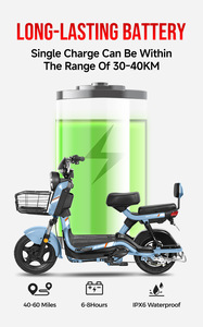 China 350W Two-wheel Rear <b>Hub</b> Motor Lead-acid Battery 150kg Load Capacity Hot Sale Low Price FL-0035 China 350w Two-wheel <b>Electr</b> - Product Image 5
