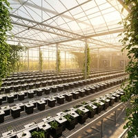 Système hydroponique Seedafarm personnalisé, écologique, anti-âge, type Bato Barrel néerlandais, avec pompe intégrée et sortie de drainage, pour culture hors-sol 1