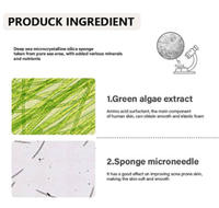Kit de peeling aux algues 99% OEM, biomicroneedling, spicules d'éponge, masque en poudre de peeling aux algues naturel, peeling biologique du visage, acné