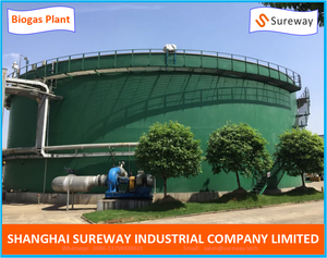 مشروع الغاز الحيوي-نظام كامل من النفايات إلى الطاقة - Product Image 4