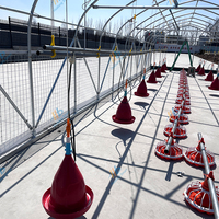 Nouvelle cage de luxe pour volailles Cage extérieure pour animaux de compagnie Maisons de poulet Portable Promenade dans de grands poulaillers avec couvercle étanche