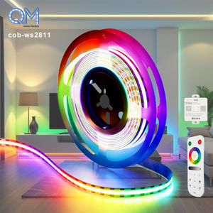 Tira de LED WS2815 C9, 60 LED/m, Iluminación <span class=keywords><strong>BTF</strong></span>, WS2815, 12V, 30 LED/m, 5M - Product Image 1