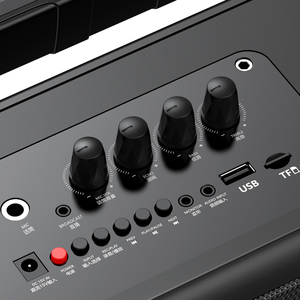 Loa karaoke với 2 UHF Micro không dây, hệ thống Loa bluetooth di động cho bữa tiệc gia đình, đám cưới, Nhà thờ, dã ngoại - Product Image 2