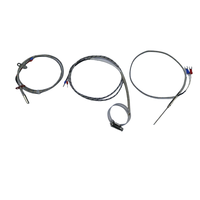 Sensor Termokopel Platinum Industri 2 Kawat 3 Kawat Tahan Suhu Tinggi Pt100 Termometer Resistansi OEM Baja Tahan Karat IP65