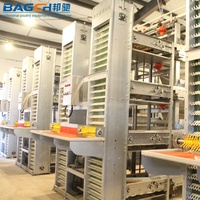 Oeufs de pondeuse en batterie de type H Poule pondeuse Poule cage à poules