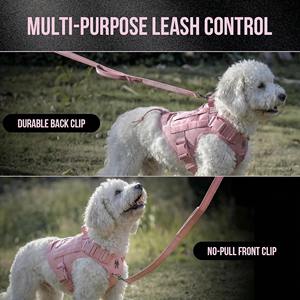 طقم طوق وحزام قابل للتعديل للكلاب مصنوع حسب الطلب من الشركة المصنعة الصينية - Product Image 4