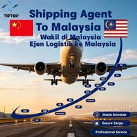Agente de Transporte Aéreo, Malasia, Aeropuerto Internacional de Penang, Agente de Envío Puerta a Puerta, Transitario de Carga Express