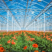 Grande structure de serre commerciale en verre avec cadre en acier galvanisé à chaud, taille personnalisable, système de refroidissement, d'ombrage et d'irrigation