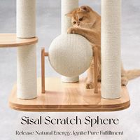 Arbre à chat moderne en bois massif écologique, 49 pouces de haut, 4 niveaux, poteaux à gratter en sisal, léger (1,5 kg) pour chats de grande taille, usage intérieur