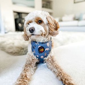 Pairui Индивидуальная торговая марка, дизайнерский жилет, набор поводков, бандана, собачья шлейка с биркой, название, полиэстер/нейлоновая Пряжка, крючок, петля - Product Image 4