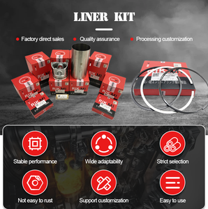 Npr Rik Tpr Atg Riken Fs Ks Cypr Ae טבעות בוכנה סט טבעות בוכנה סין טבעות בוכנה חלקי חילוף בוכנה עם טבעת - Product Image 4