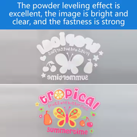 Poudre de transfert thermique en gros, colle thermofusible douce, adhésif thermofusible, poudre TPU blanche pour impression DTF sur imprimante DTF
