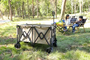 Outdoor Winkel Opbergwagen Trolley Gaas Stalen Kar Multi-Color Opvouwbare Camping Wagon