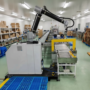 Robot collaboratif de palettisation à 6 axes, best-seller, avec cœur PLC Rayman - Product Image 2