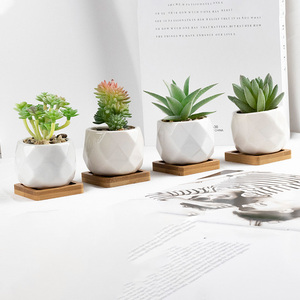 Décoration de maison plantes succulentes artificielles meubles de bureau accessoires de maison décoration de <span class=keywords><strong>jardin</strong></span> vase en céramique plantes succulentes <span class=keywords><strong>cadeau</strong></span> - Product Image 4