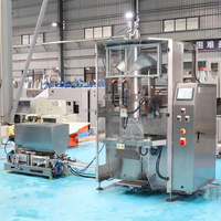 Machine à emballer liquide de sauce tomate pimentée Salsa Tahini à l'ail par sac de 1kg entièrement automatique