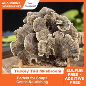 Suministro <span class=keywords><strong>de</strong></span> Fábrica: Hongo Silvestre Yunzhi Trametes Versicolor, también conocido como Coriolus Versicolor, Polyporus Versicolor, Hongo <span class=keywords><strong>Cola</strong></span> <span class=keywords><strong>de</strong></span> <span class=keywords><strong>Pavo</strong></span> - Product Image 2