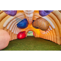 Modèle de réplique de corps d'exposition médicale gonflable Tunnel de passage Organe gonflable de corps humain