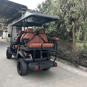 Shininglsv Fabrikant Snelle 7.5 Motor 6 Passagiers Elektrische Club Auto Off-Road Straat Legale Jacht Nutswagen - Product Image 5