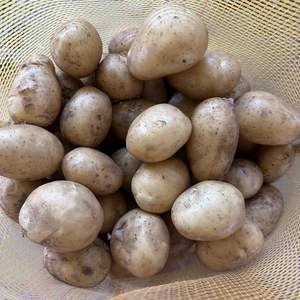 2025 nouvelle culture <span class=keywords><strong>pomme</strong></span> <span class=keywords><strong>de</strong></span> <span class=keywords><strong>terre</strong></span> <span class=keywords><strong>pomme</strong></span> <span class=keywords><strong>de</strong></span> <span class=keywords><strong>terre</strong></span> fraîche vente en gros <span class=keywords><strong>pomme</strong></span> <span class=keywords><strong>de</strong></span> <span class=keywords><strong>terre</strong></span> fraîche - Product Image 3