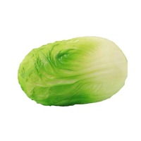 Jouet Squishy en forme de chou bio, simulation de nourriture classique, anti-stress, Kawaii, vente en gros, jouet Fidget