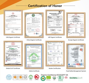 Ganoherb Gmp Fabrikant Levering Extract Poeder <span class=keywords><strong>Reishi</strong></span> Champignon Ganoderma Extract Poeder Met 25% Polysaccharide - Product Image 6