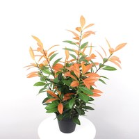 7290 Yongyue extérieur artificiel 80cm arbres bonsaï à feuilles persistantes avec 12*12cm Pot de fleur vert/automne couleurs disponibles